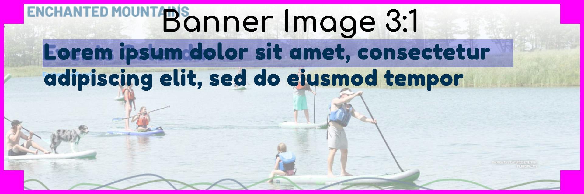 Banner 3x1
